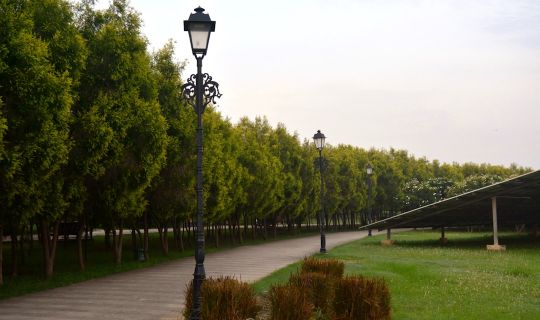 Best Solar Garden Lights for Commercial Projects 2026: Buyer's Guide