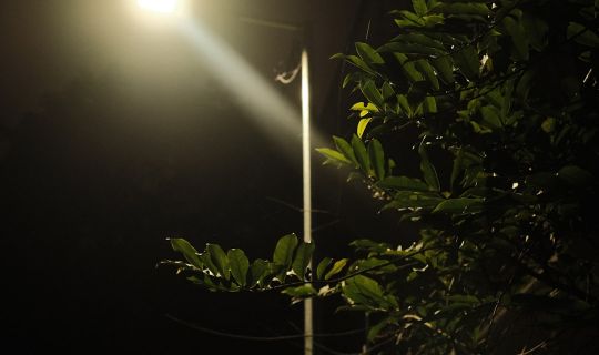 Solar Yard Lights Wattage and Lumen Output: A Complete Technical Buyer's Guide