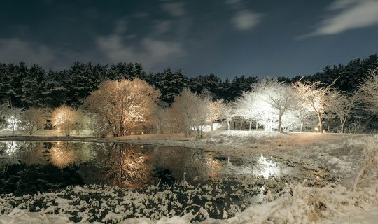 How to Choose how do solar lawn lights work in winter: Practical Guide and Common Questions