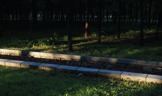 How to Choose solar lawn lights IP65 specifications: Practical Guide and Common Questions